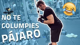 Extensión de triceps en polea en 1 minuto FORTALECER TRÍCEPS [upl. by Vacla955]