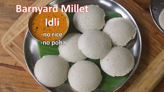 Barnyard Millet Idli Recipe  Soft Millet Idli Without Rice and Poha  Diabetic Friendly Recipe [upl. by Ojyllek]