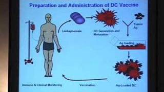 Using Dendritic Cells to Create Cancer Vaccines [upl. by Zilber]