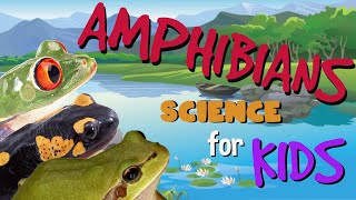 Amphibians  Science for Kids [upl. by Llehsim]