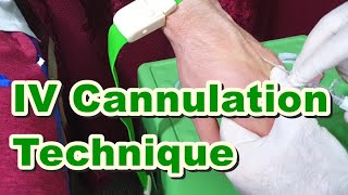 How to Insert IV Cannula  IV Cannulation Technique  Branula  Intravenous Catheter [upl. by Nylarat766]