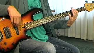 The Foundations  Build Me Up Buttercup  Bass Cover [upl. by Chrysler]