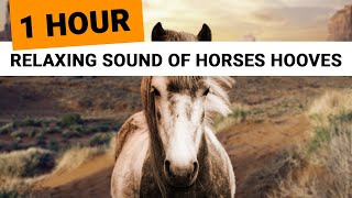 Relaxing Sounds of Horses Hooves 1 Hour 🎧 clip clop ambience for sleep relaxation meditation [upl. by Ahsei]