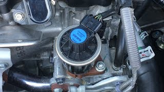 Honda EGR Valve Cleaning DIY [upl. by Finley]