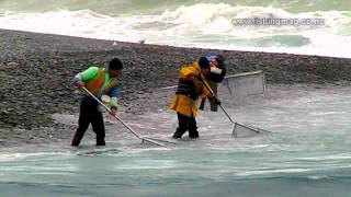 Whitebait Scoop Netting Rakaia River Mouth Fishing [upl. by Anawek49]