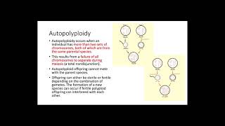 Polyploidy [upl. by Ard]