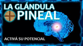 LA GLÁNDULA PINEAL  Activala y desatá todo tu potencial ⚡ [upl. by Venable]