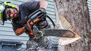 Felling Trees Near Buildings  HOW TO [upl. by Roath894]