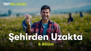 Şehirden Uzakta  Isparta  TRT Belgesel [upl. by Shiverick]