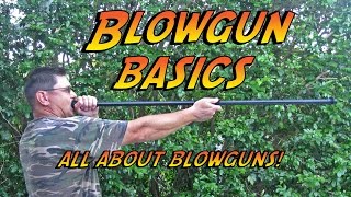 Blowgun Basics [upl. by Afatsom]