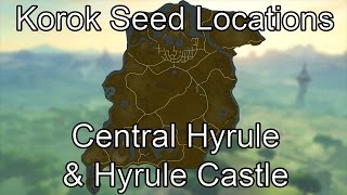 Breath of the Wild Korok Seed Guide  Central Hyrule amp Hyrule Castle [upl. by Gnas]