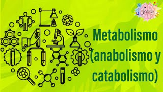 Metabolismo anabolismo y catabolismo [upl. by Adnawahs]