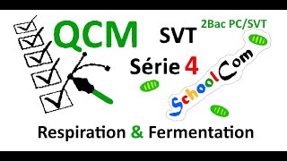 QCM  SVTSérie 4 2bac PC  2bac SVT Unité 1Chapitre 1 Respiration amp Fermentation [upl. by Llezniuq]