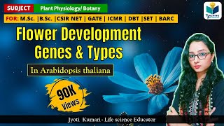Flower Development Genes in Arabidopsis  CSIRNET  GATE  BARC  Plant Biology [upl. by Lubin332]