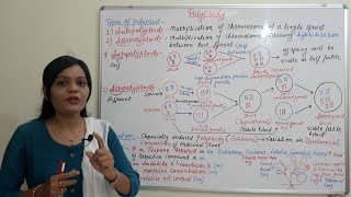 Class 32  Polyploidy Part 02  Types amp Application of Polyploidy  Reference to Medicinal Plant [upl. by Eirrek]