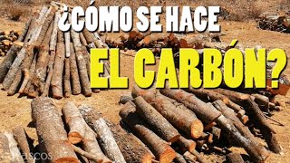 ¿Cómo se hace el carbón  Los Tarascos [upl. by Inacana]