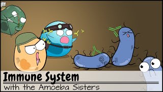 Immune System [upl. by Ydnil259]