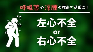 心不全勉強会第1回「症状が出現する理由」■循環器専門医が解説！ [upl. by Akkimat]