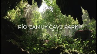 Discover Puerto Rico Río Camuy Cave Park [upl. by Nylzaj980]