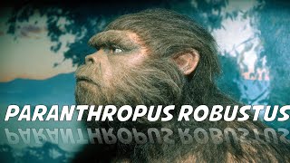 Paranthropus robustus [upl. by Suicul]