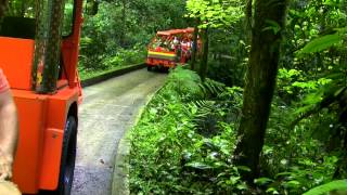 Puerto Rico Cuevas de Camuy  Camuy River Cave Park [upl. by Hanej]