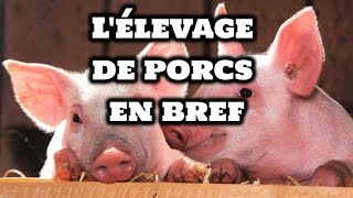 Comment élever des Cochons [upl. by Mukul]