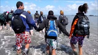 Wadlopen Holwerd Ameland [upl. by Anaitak]