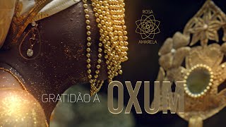 OXUM  Rosa Amarela [upl. by Payton]