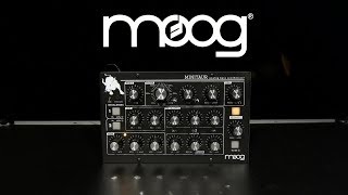 Moog MINITAUR Analog Bass Synthesizer  Gear4music demo [upl. by Serle]