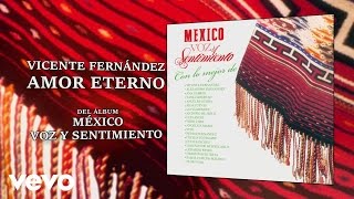 Vicente Fernández  Amor Eterno Cover Audio [upl. by Onitnerolf]