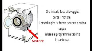 Come funziona la lavatrice [upl. by Ahsela]