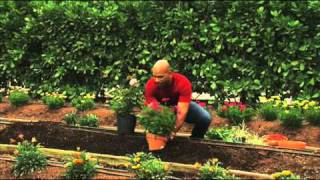 How to Plant Perennial Gardens [upl. by Marmaduke]