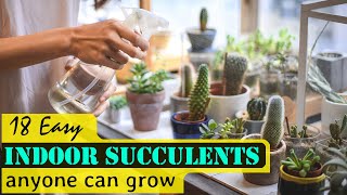 18 Easy Indoor Succulents Anyone Can Grow [upl. by Stoll]