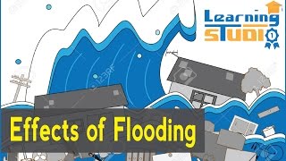 What are the effects of flooding [upl. by Sinnod]