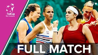 Pliskova amp Strycova vs Pavlyuchenkova amp Vesnina  2015 Fed Cup Final  Full Match [upl. by Leahpar]