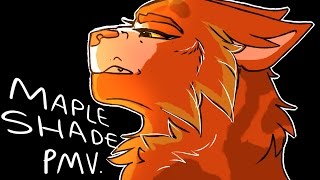 Before He Cheats  Mapleshade PMV tw gore [upl. by Aneryc874]