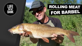 BARBEL FISHING ROLLING MEAT [upl. by Burn480]