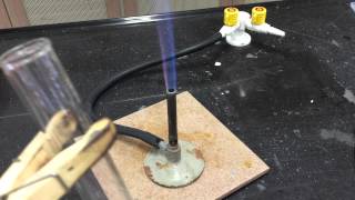 Cation Test Ammonium Ions [upl. by Pippy]