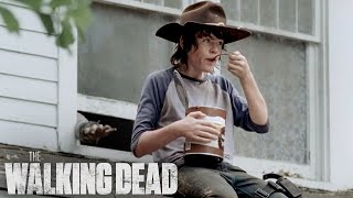 Carl Raised by the Apocalypse  The Walking Dead [upl. by Nnyleuqaj749]