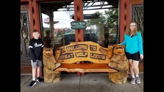 GREAT WOLF LODGE Wisconsin Dells Resort Tour [upl. by Icyac]