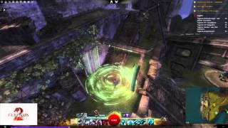 Guild Wars 2 WvW Build Guide WiedergängerHerold HammerStab [upl. by Hedve]