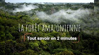 Tout savoir sur la forêt amazonienne en 2 minutes [upl. by Aisila974]