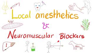 Local Anesthetics and Neuromuscular Blockers  Anesthesiology [upl. by Anson977]