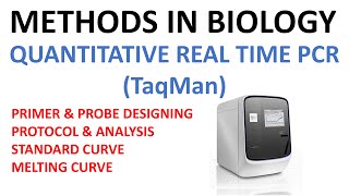 TaqMan real time quantitative PCR qPCR [upl. by Barrie]