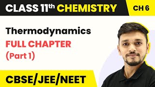 Class 11 Chemistry Chapter 6  Thermodynamics Full Chapter Explanation Part 1 [upl. by Baseler]