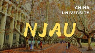 Nanjing Agricultural University English  南京农业大学英文介绍 [upl. by Claribel753]