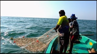 PRAWN CATCHING AT SEA [upl. by Eirotal]