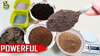 Best DIY Fertilizer Mix Recipe Universal Allpurpose Mixed Fertilizer Powder [upl. by Stacy]