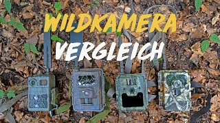 Wildkamera Vergleich  Seissiger Secacam ICUserver und Minox [upl. by Assetan326]