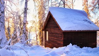 Off Grid Cabin in the Alaskan Wilderness [upl. by Lednew264]